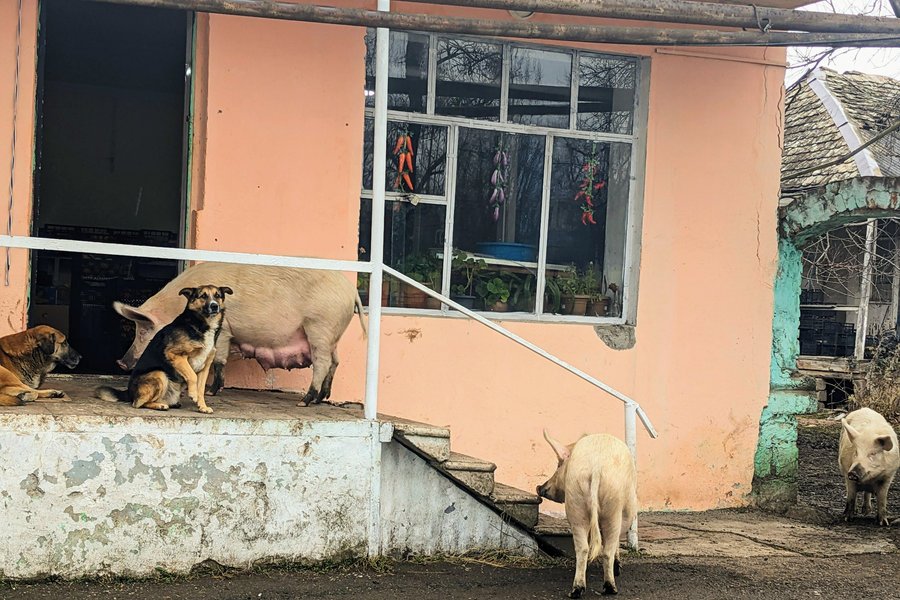 Wonder Letters team at work