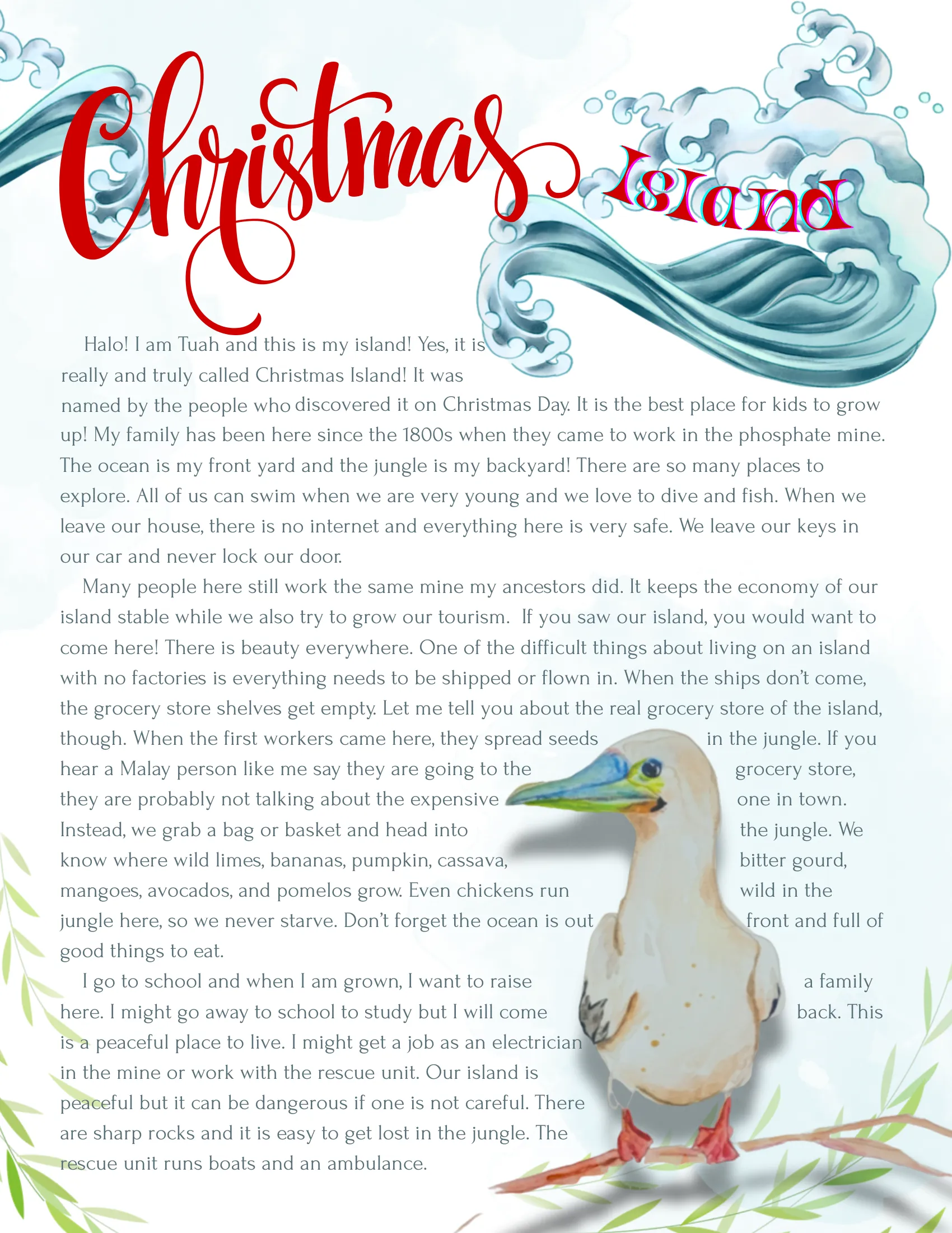Christmas Island Wonder Letter with brown booby bird watercolor