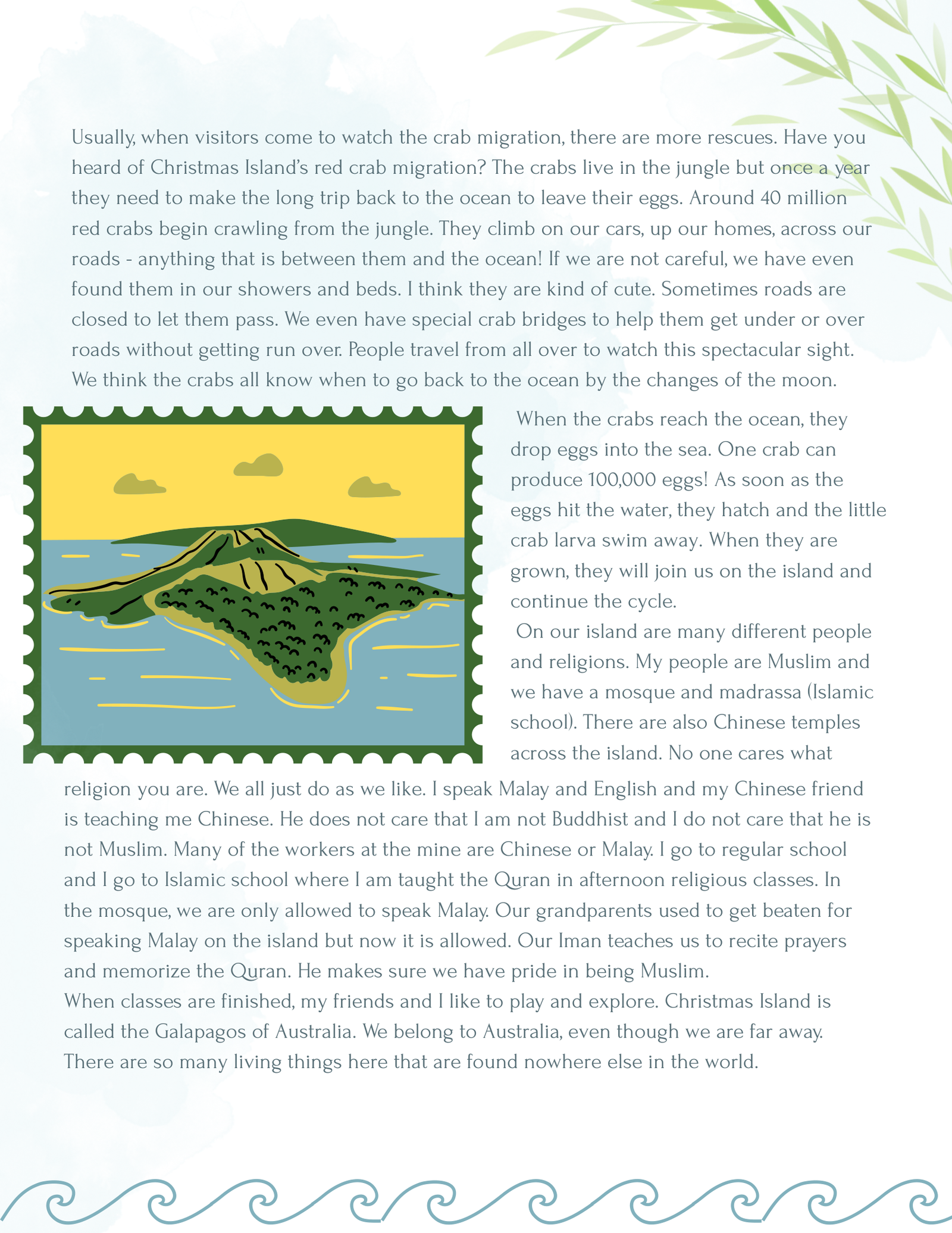 Christmas Island Wonder Letter with wildlife illustrations and activities
